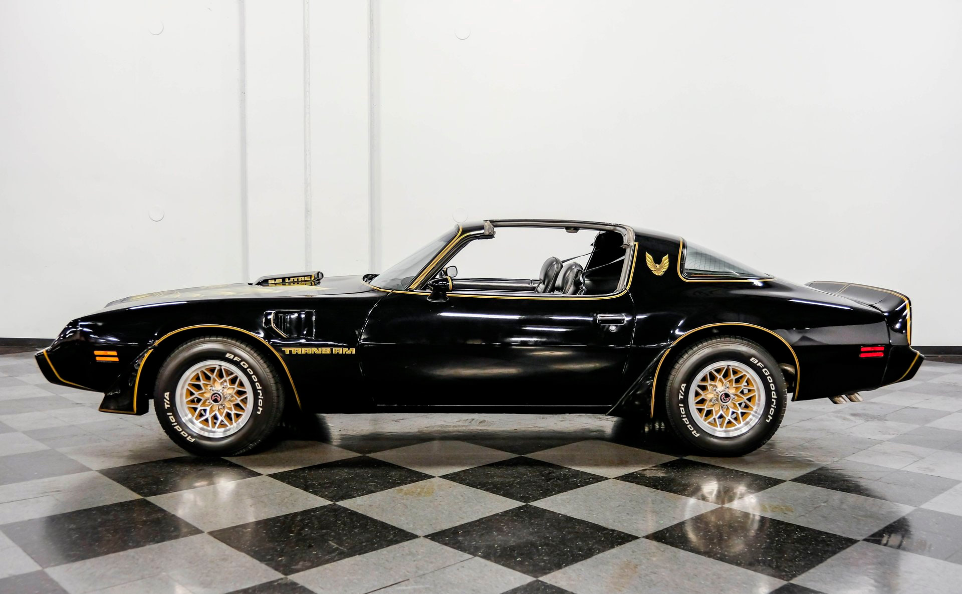 1979 Pontiac Firebird Trans Am SE