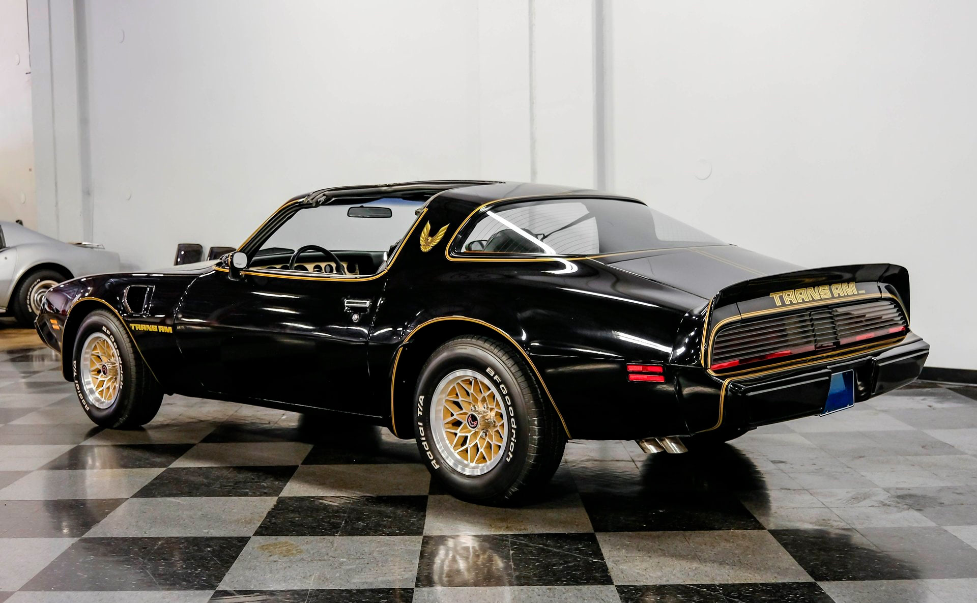 1979 Pontiac Firebird Trans Am SE