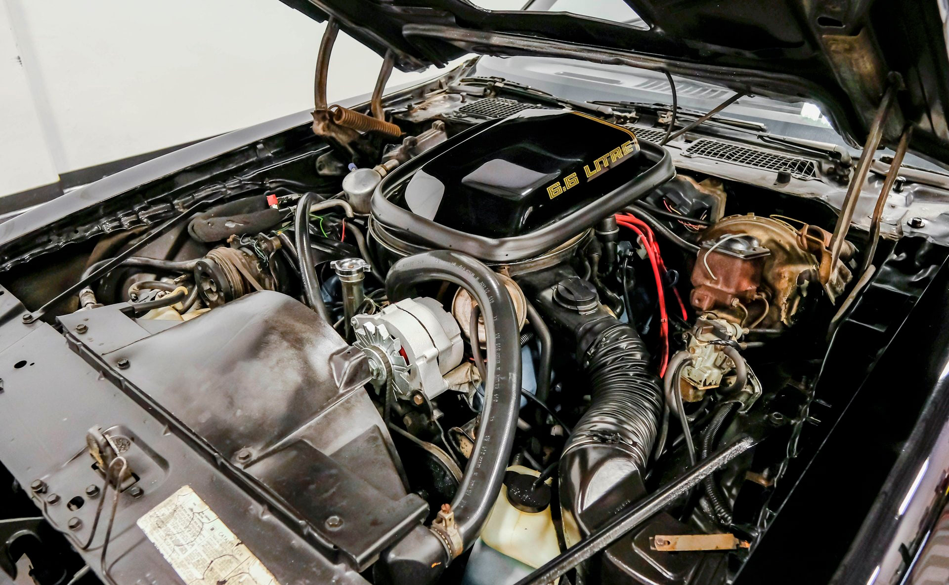 1979 Pontiac Firebird Trans Am SE
