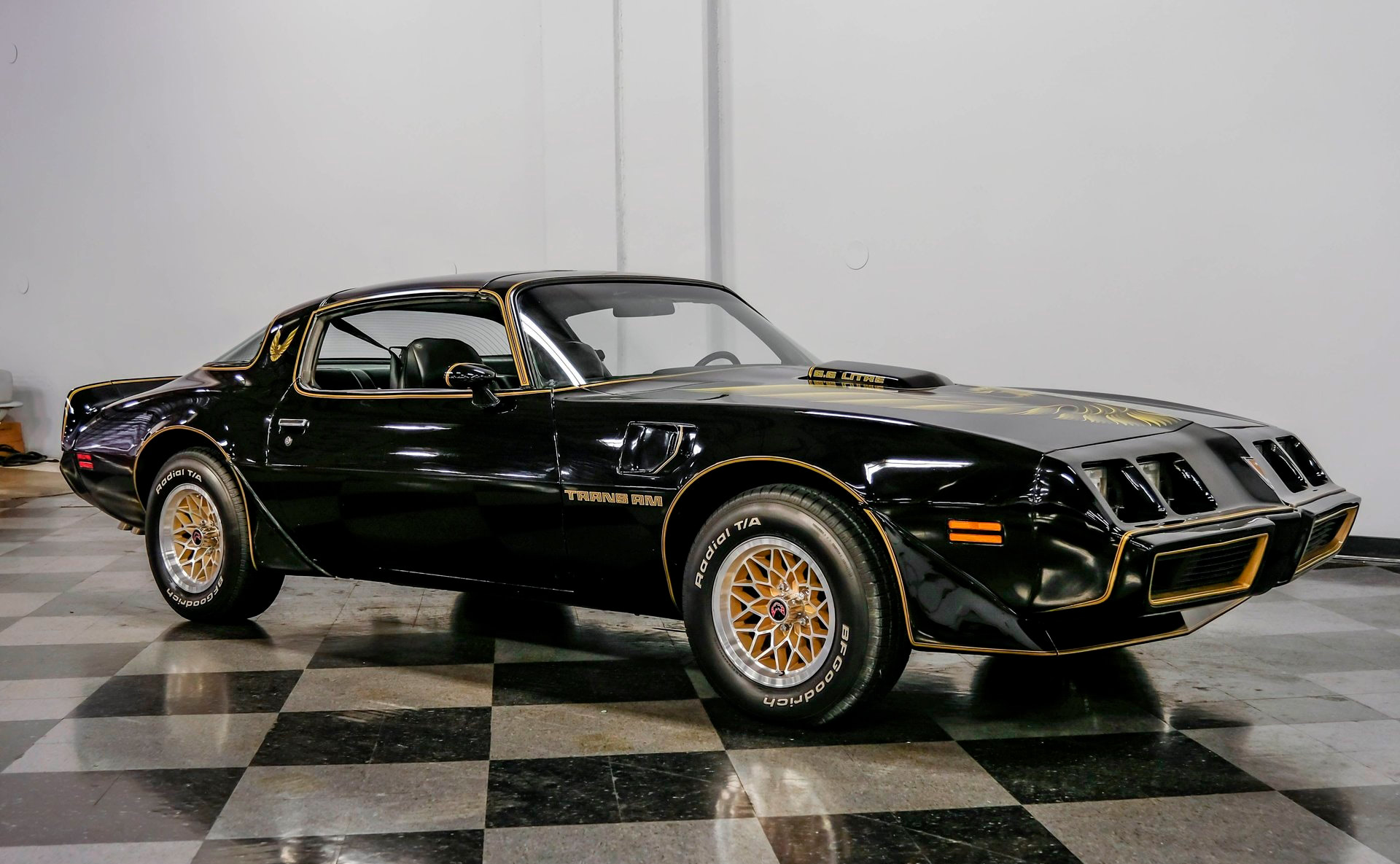 1979 Pontiac Firebird Trans Am SE